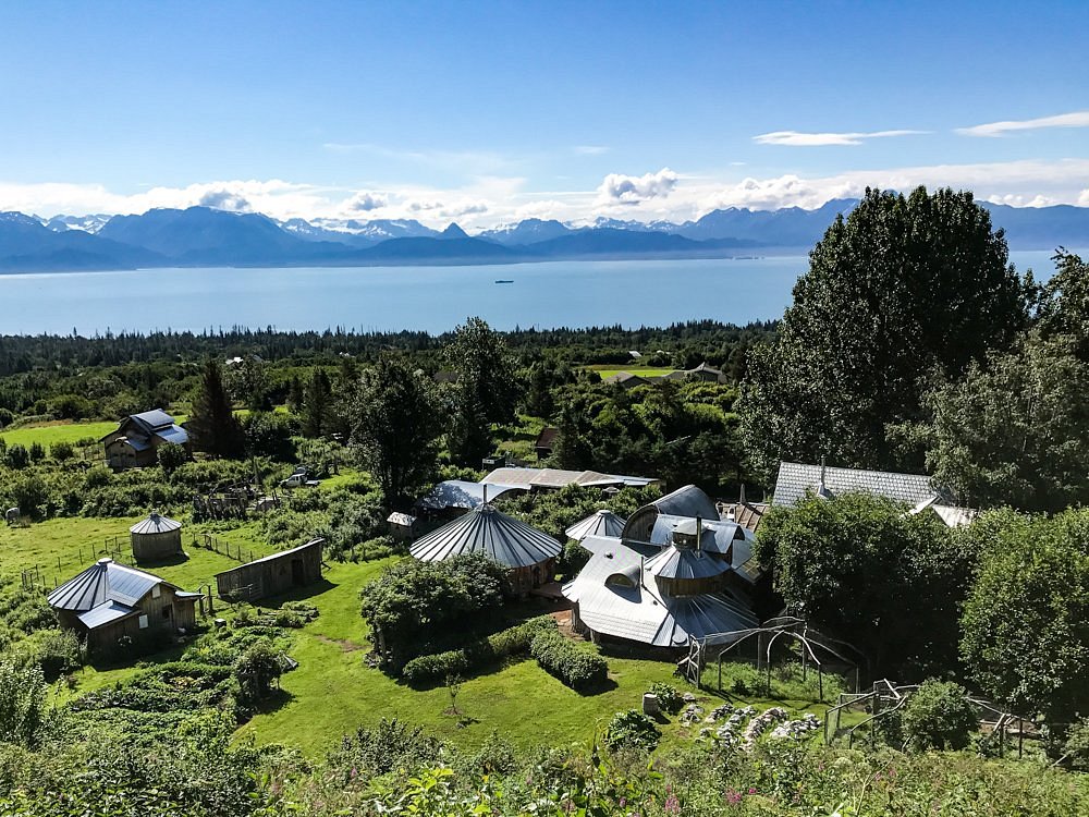 THE 15 BEST Things to Do in Homer 2024 (with Photos) Tripadvisor