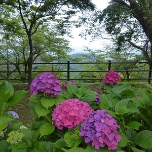 21年 栃木市で絶対外さないおすすめ観光スポットトップ10 定番から穴場まで トリップアドバイザー 21年 栃木市で絶対外さないおすすめ観光スポットトップ10 定番から穴場まで トリップアドバイザー