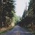 Lyse_h