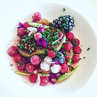 foie gras fruits givrés