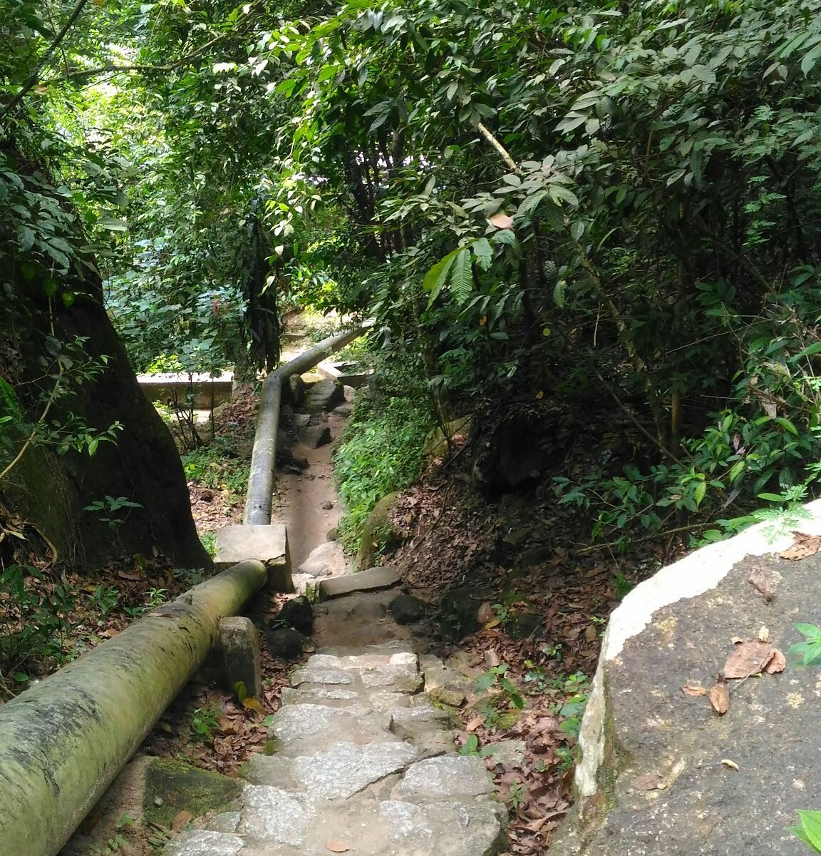 Titi Kerawang Waterfalls Pulau Penang Malaysia Review Tripadvisor