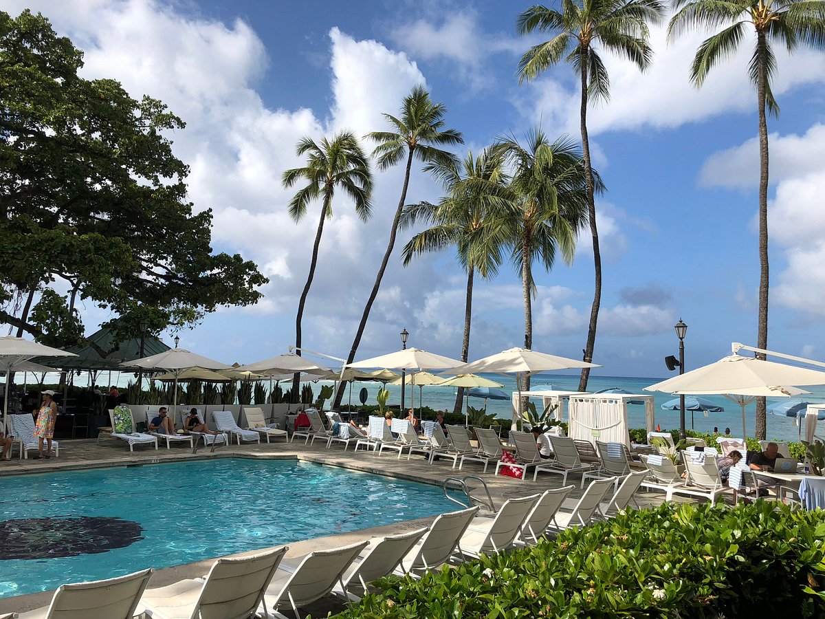 MOANA SURFRIDER, A WESTIN RESORT & SPA, WAIKIKI BEACH : Prezzi e Recensioni  2024