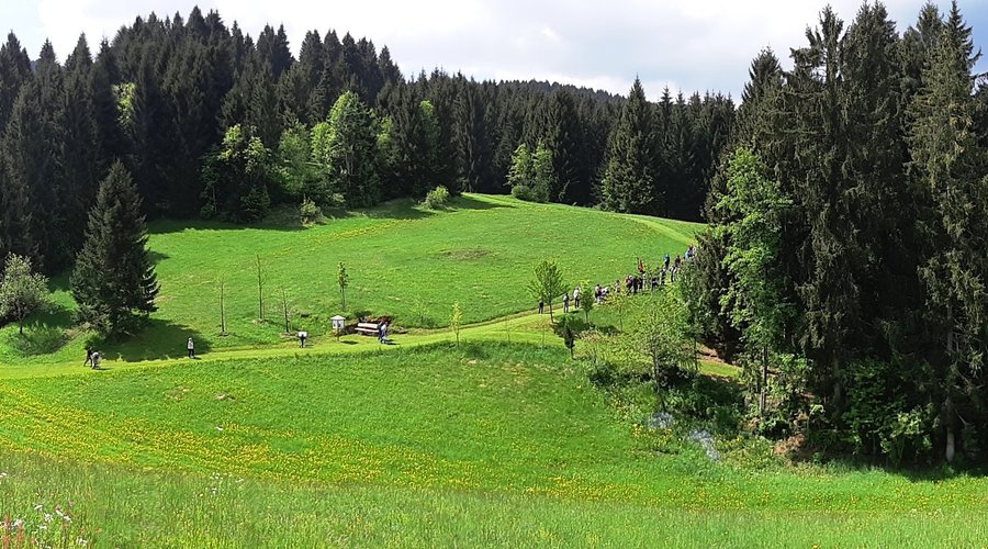 il Parco....