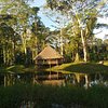 Things To Do in Manu Jungle Tour (3 Days), Restaurants in Manu Jungle Tour (3 Days)