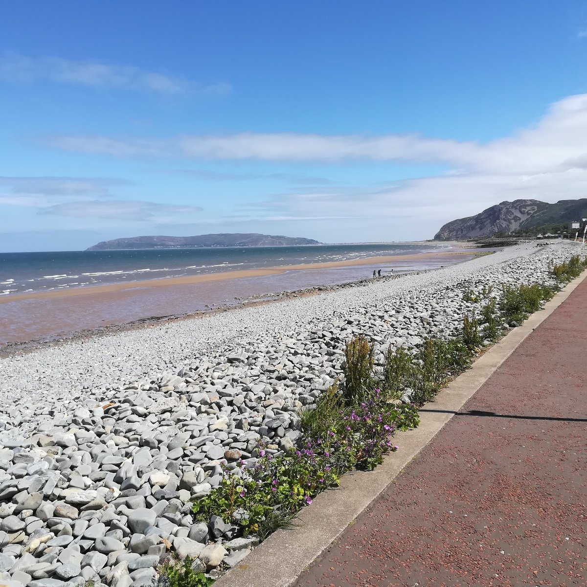 Morfa Aber Nature Reserve All You Need To Know Before You Go 2024