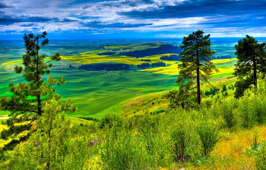 Kamiak Butte County Park image