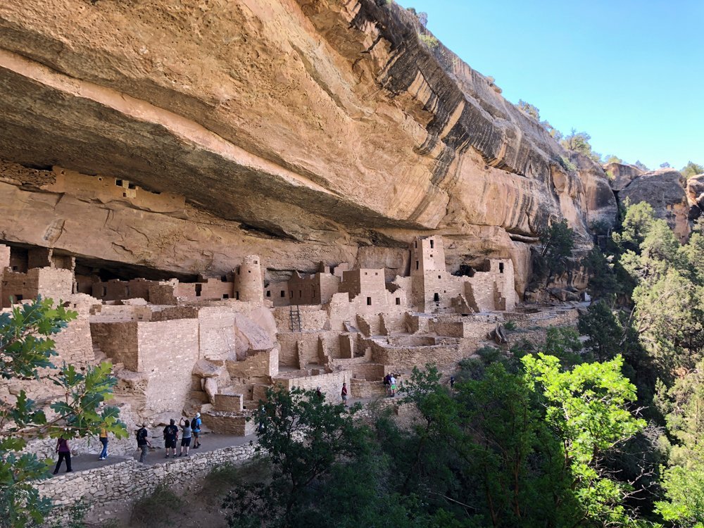 are dogs allowed in mesa verde national park