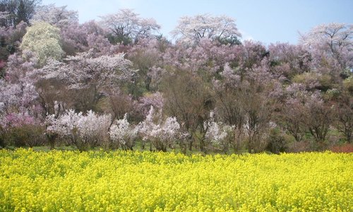 21年 福島市で絶対外さないおすすめ観光スポットトップ10 定番から穴場まで トリップアドバイザー