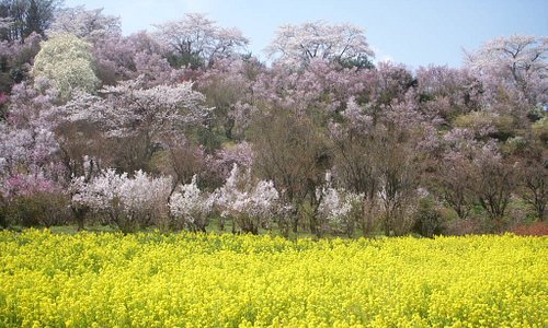 21年 福島市で絶対外さないおすすめ観光スポットトップ10 定番から穴場まで トリップアドバイザー 21年 福島市で絶対外さないおすすめ観光スポットトップ10 定番から穴場まで トリップアドバイザー