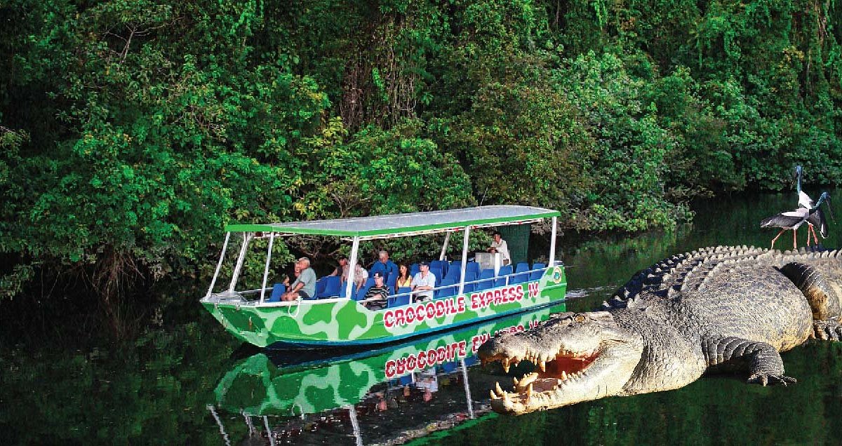 daintree river electric boat cruises