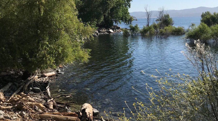 Beals Point - Folsom Lake SRA - Qué SABER antes de ir (ACTUALIZADO 2025 ...