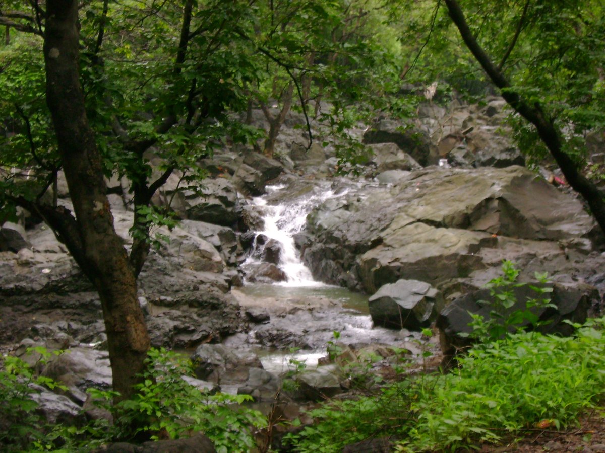Picture of Tungareshwar Wildlife Sanctuary