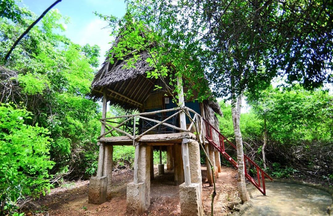 Stilts Tree Houses by null