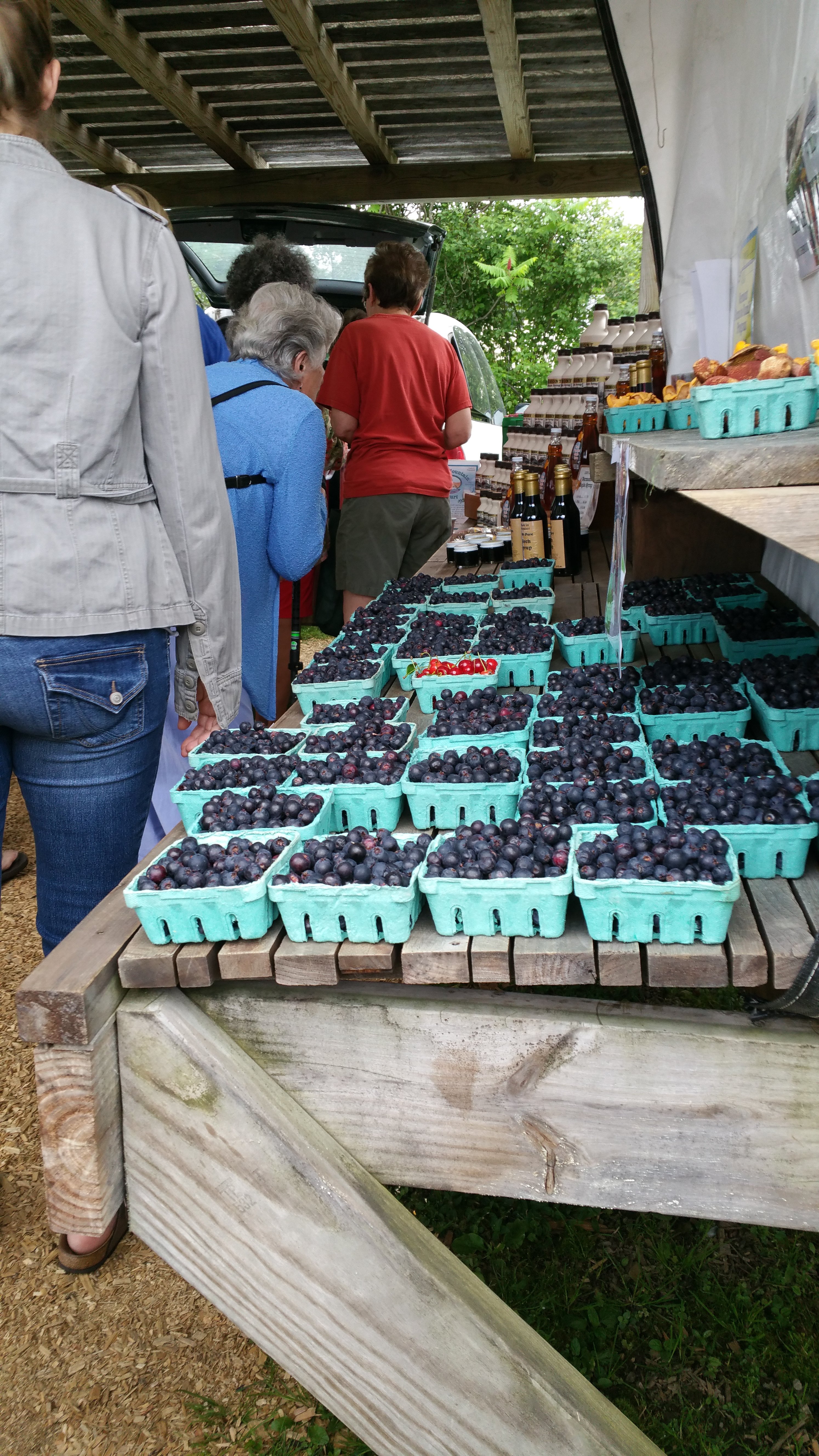 2022 Norwich Farmers Market   Everything Is Fresh 