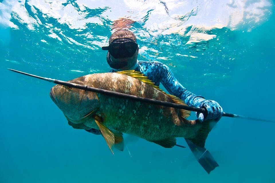 How to Go Spearfishing in California: The Complete Guide for 2024