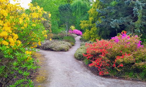Take your choice of two ways down the secret garden. Gorgeous plants and trees of many varieties