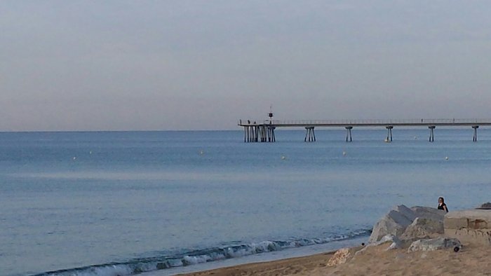 Imagen 9 de Playa de Badalona