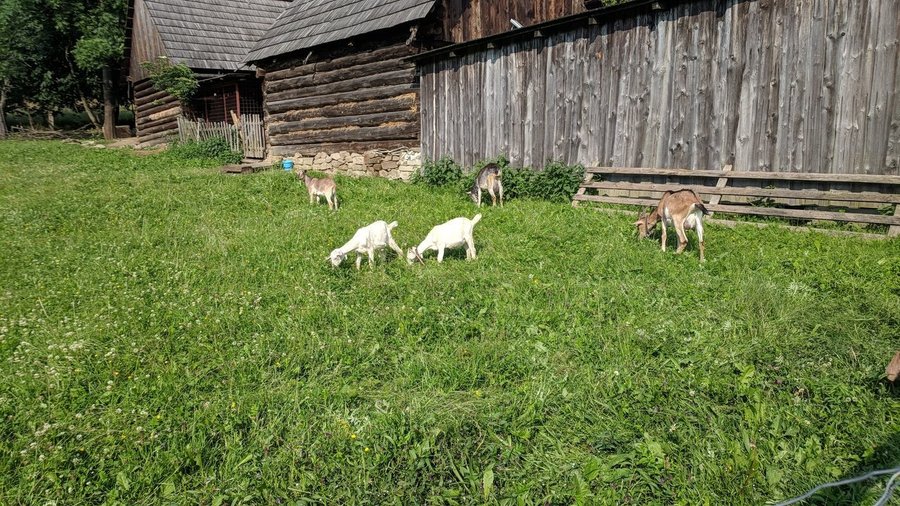 Úchvatný skanzen s krásnou ukážkou života našich nedávnych predkov zo severného Spiša.