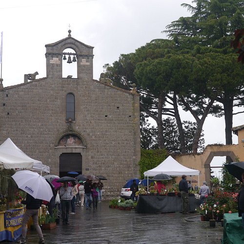 Viterbo per i bambini - Segnaliamo la nascita della prima