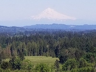 outside - Picture of Ron Tonkin Field, Hillsboro - Tripadvisor