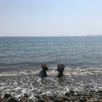 穏やかで静かなこじんまりした海岸