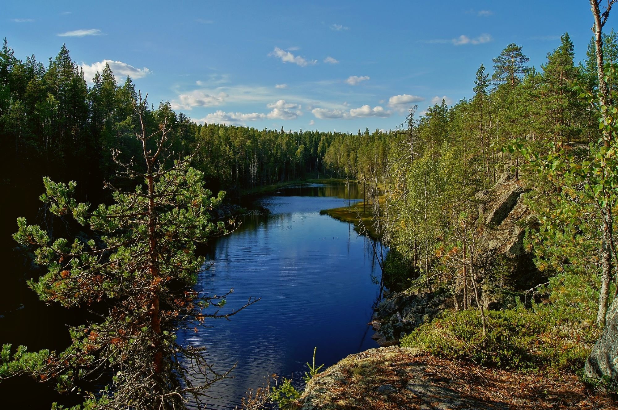 Sotkamo - Matkailu 2021: Näe Ja Koe Sotkamossa | Tripadvisor