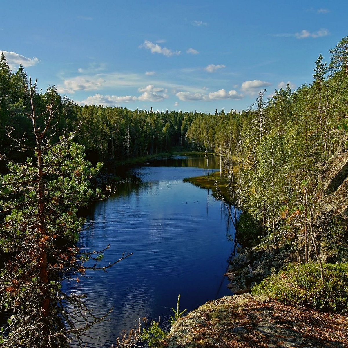 Соткамо финляндия. Sotkamo Finland. Финляндия Соткамо фото. Sotkamo.