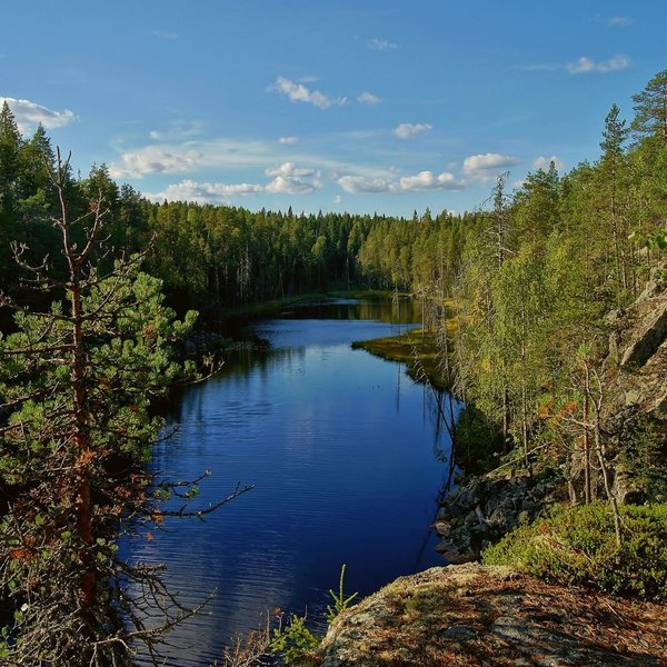 THE 15 BEST Things to Do in Kuhmo - 2024 (with Photos) - Tripadvisor