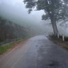 travellite1012