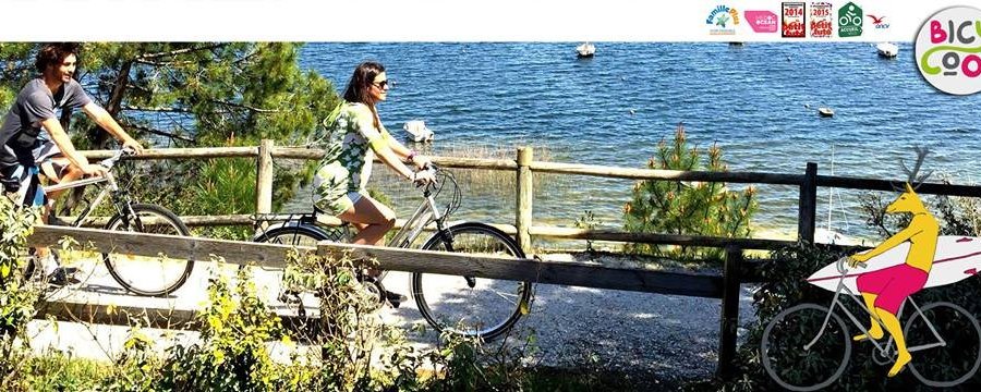 Balade bord du lac 