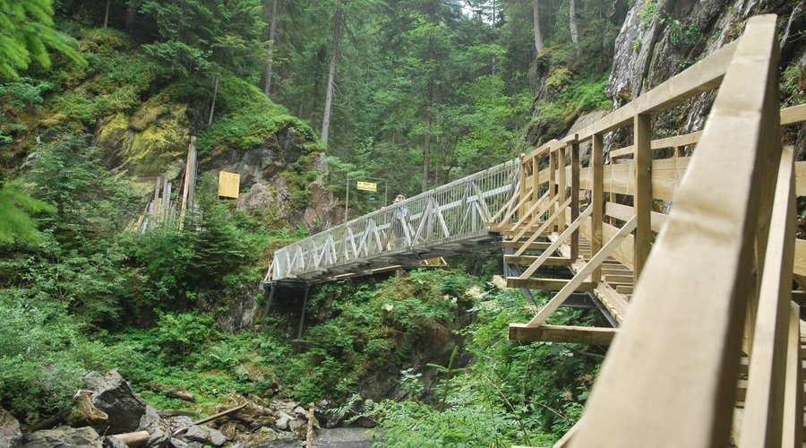 Le prime passerelle