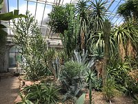 Botanischer Garten Der Universitat Heidelberg Aktuelle 2021 Lohnt Es Sich Mit Fotos Tripadvisor