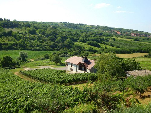 Vojvodina Wine Region