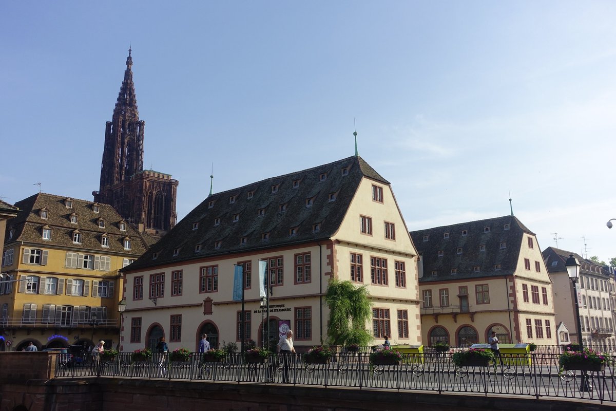 MUSEO DE HISTORIA NATURAL DE ESTRASBURGO ESTRASBURGO FRANCIA