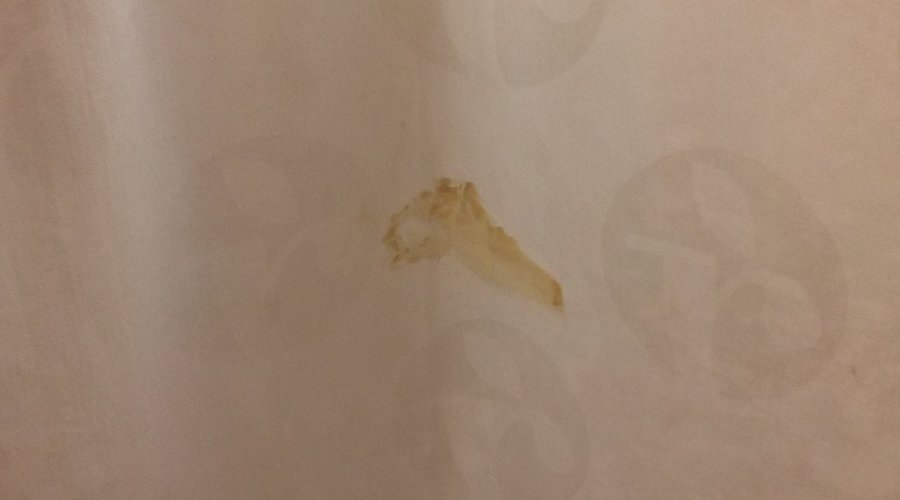 Poop stain on shower curtain