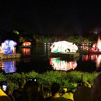 River of Light water show At Disney’s Animal Kingdom