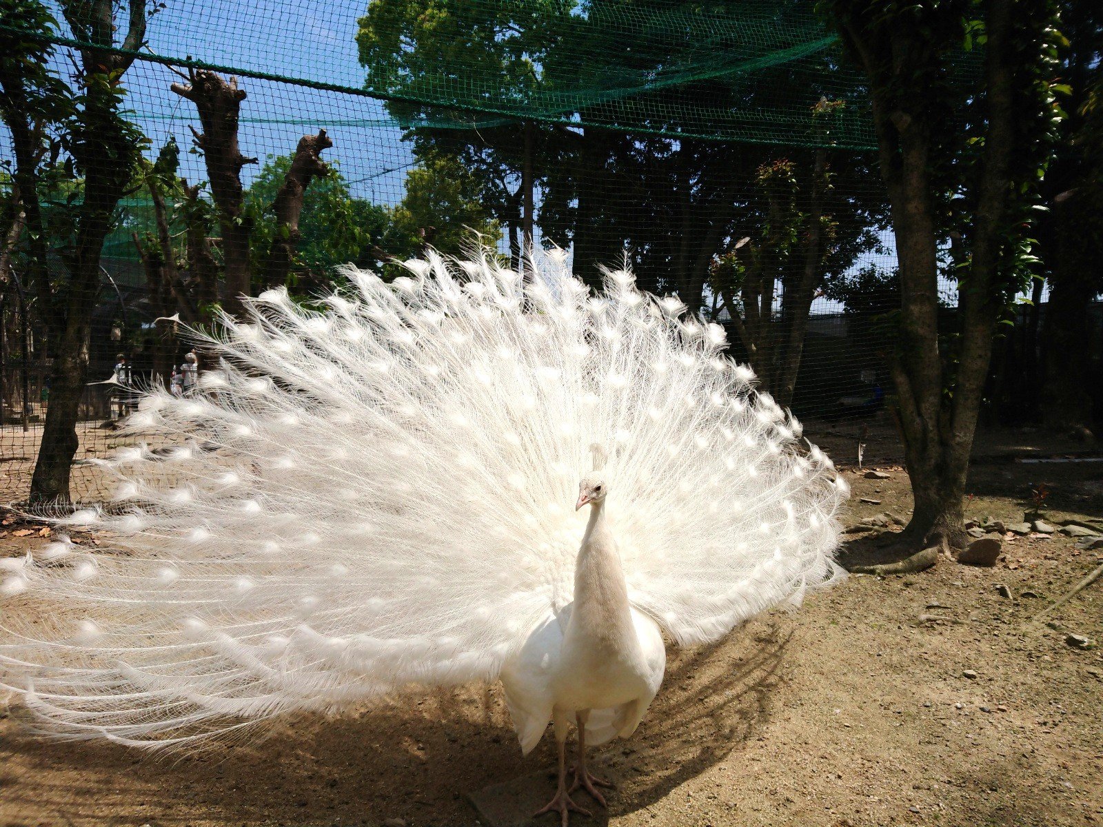 Kurume Bird Center (久留米市) - 旅游景点点评- Tripadvisor