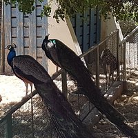 Agadir Birds Valley