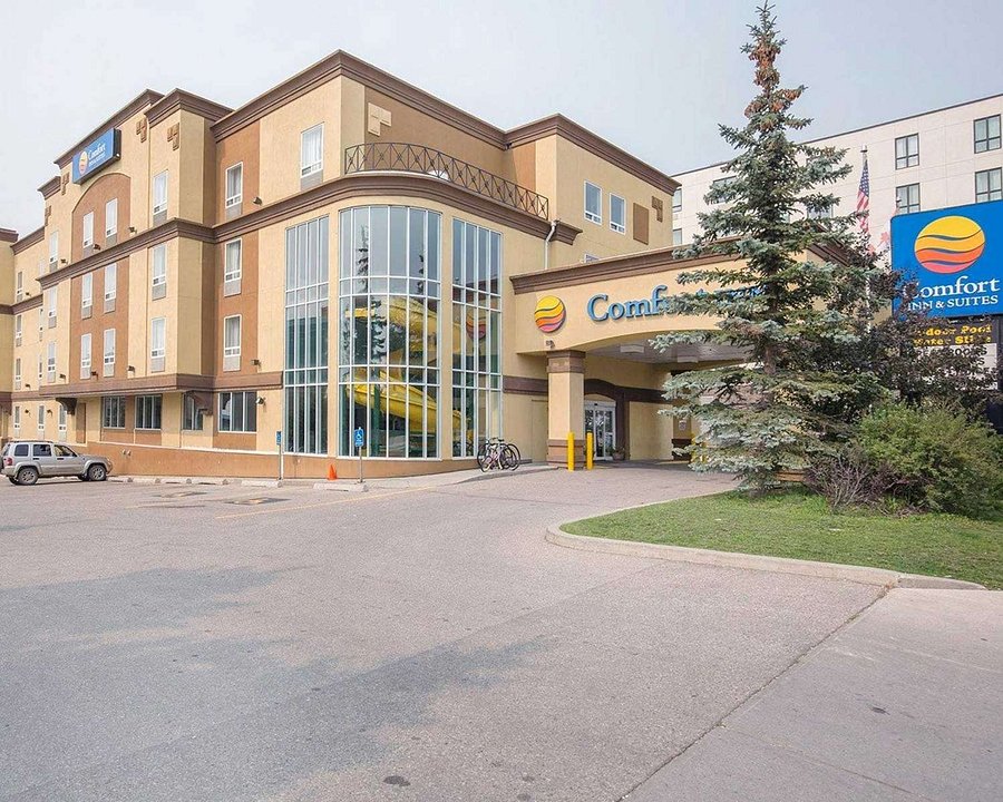 COMFORT INN & SUITES UNIVERSITY $56 ($̶1̶2̶6̶) - Updated 2021 Prices & Motel Reviews - Calgary