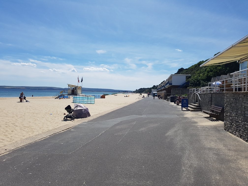 is branksome beach dog friendly