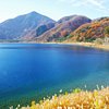 Things To Do in Minami Alps Healthy Misato, Restaurants in Minami Alps Healthy Misato