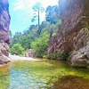 Things To Do in Corsica Forest Canyoning, Restaurants in Corsica Forest Canyoning