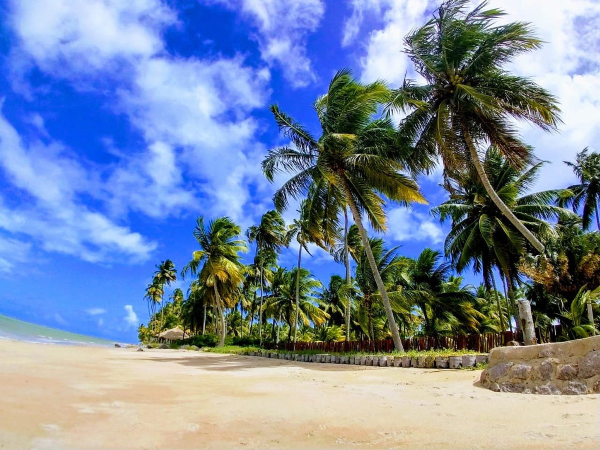 melhores praias de Maragogi