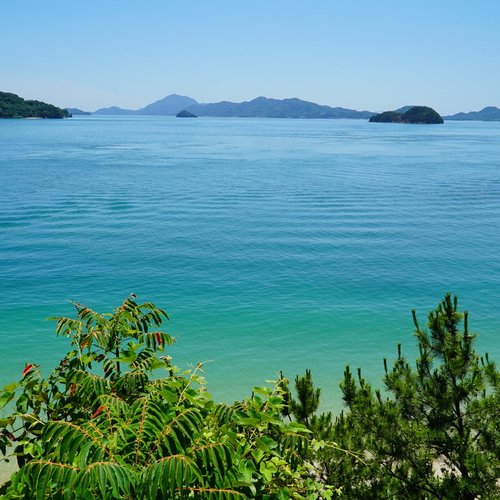 Okunoshima Island - All You Need to Know BEFORE You Go (2024)
