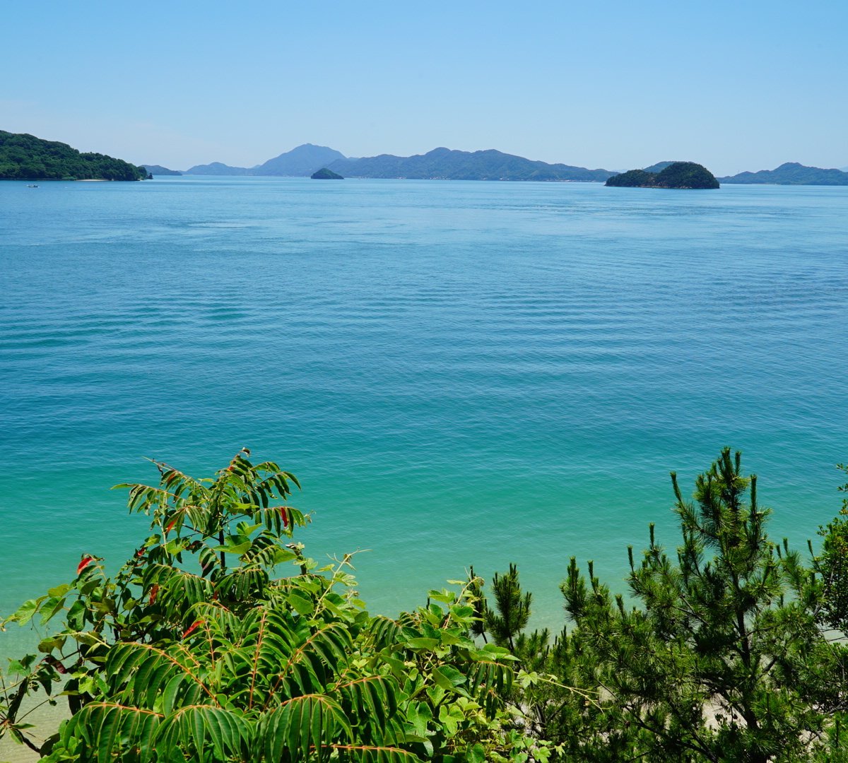 Okunoshima Island, Takehara: лучшие советы перед посещением - Tripadvisor