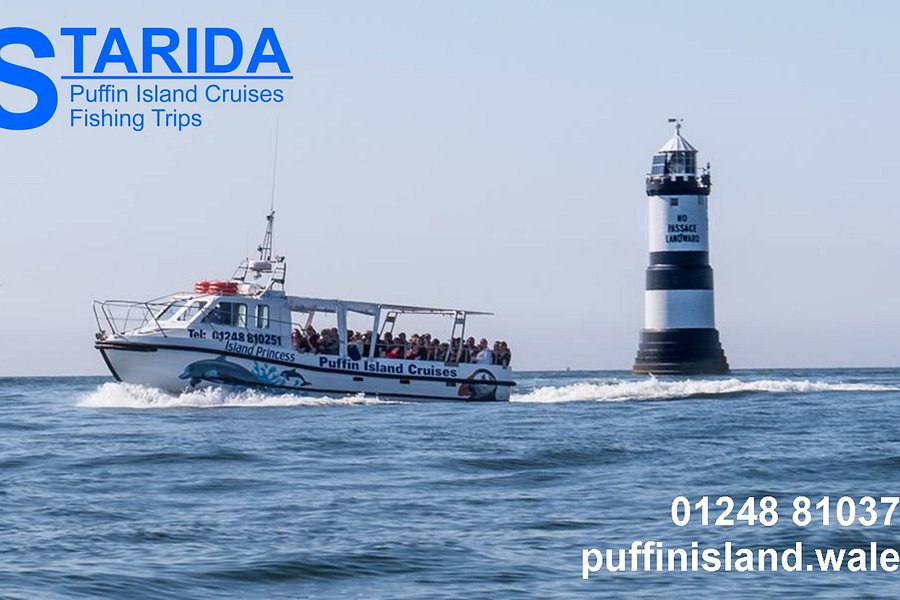 puffin island boat trips wales