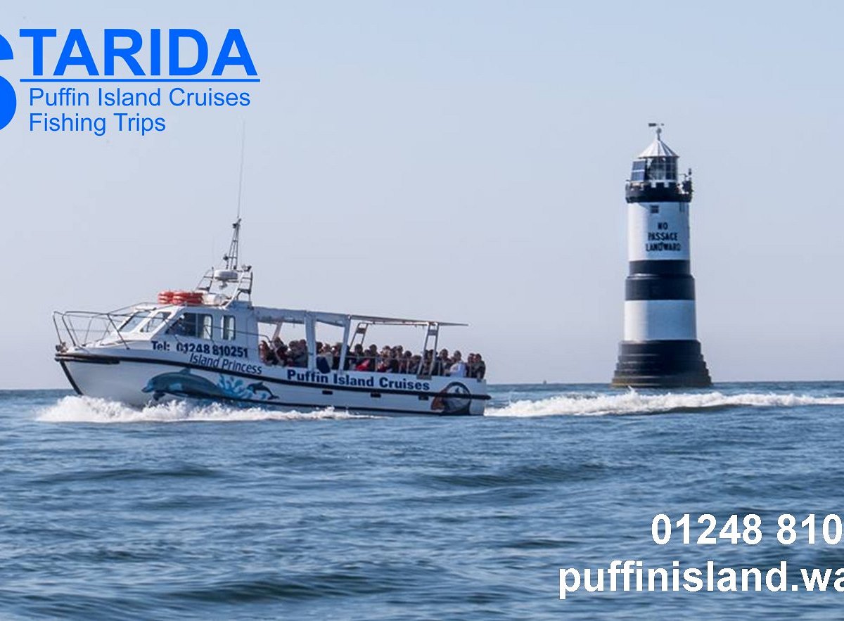 starida puffin island cruises & sea fishing trips