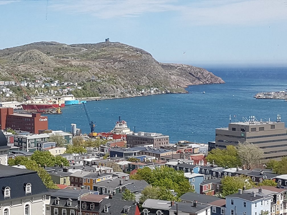 View of St. John's from The Rooms - Picture of The Rooms, St. John's -  Tripadvisor