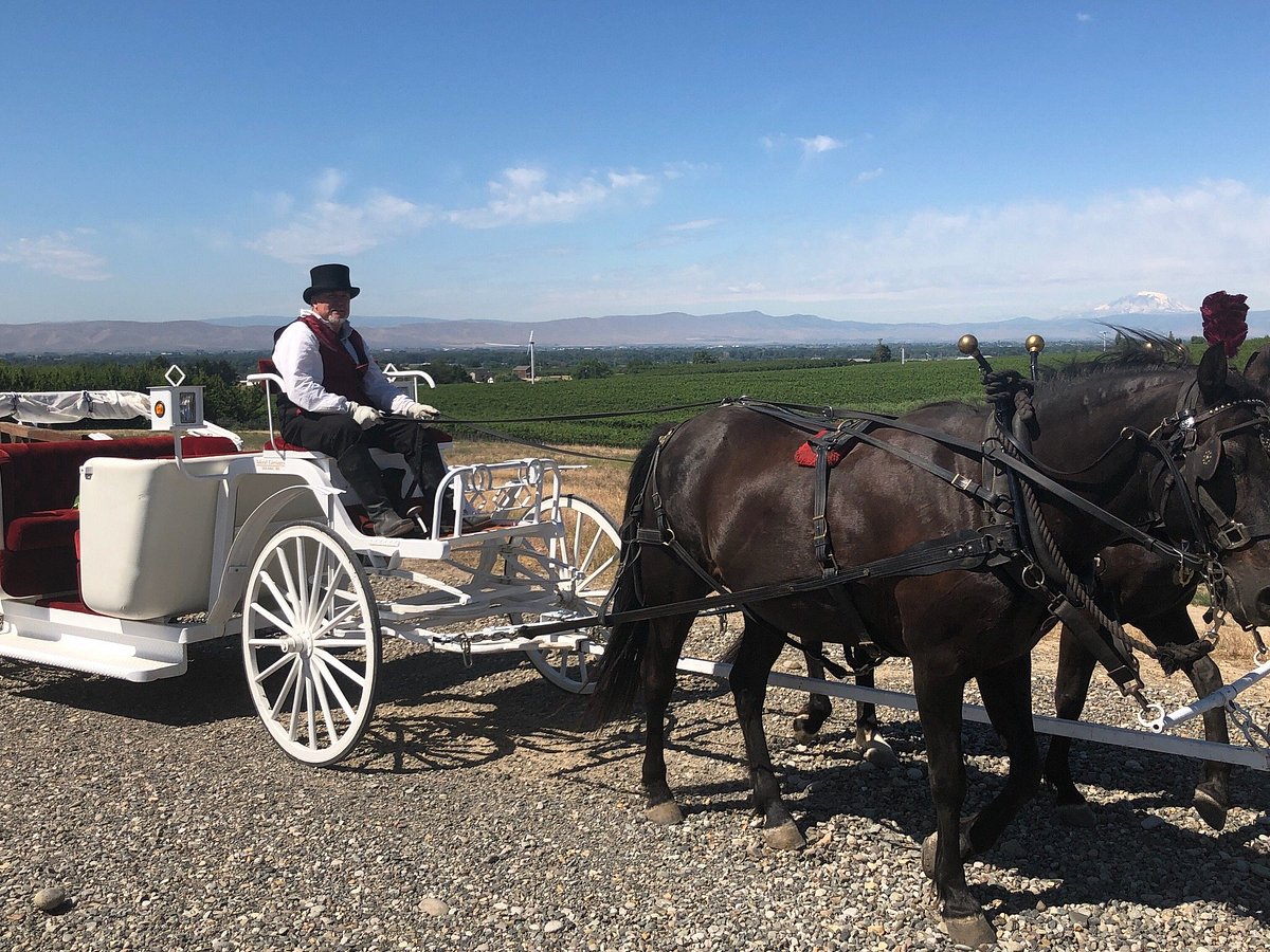 Home - Indian Valley Carriage Company - Horse-drawn carriage rides
