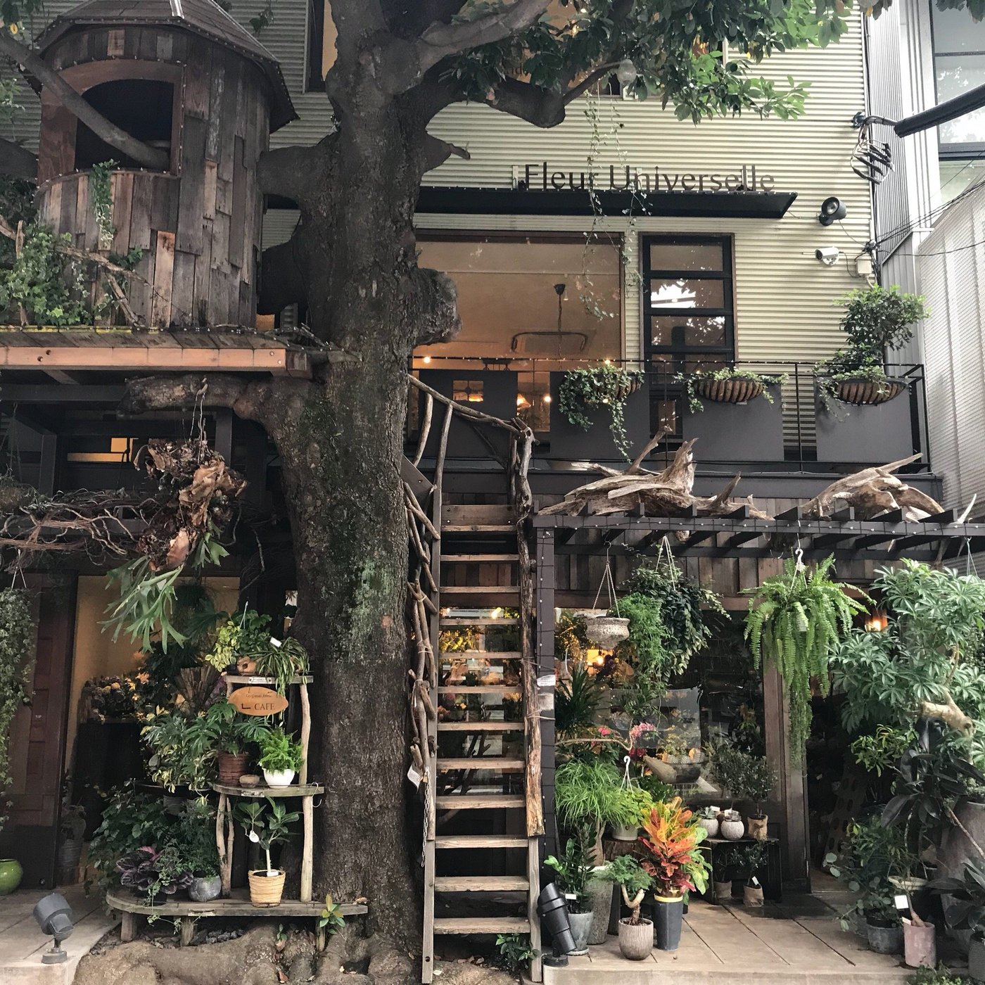 LES GRANDS ARBRES, Minato - Akasaka / Roppongi - Restaurant Reviews, Photos & Phone Number - Tripadvisor